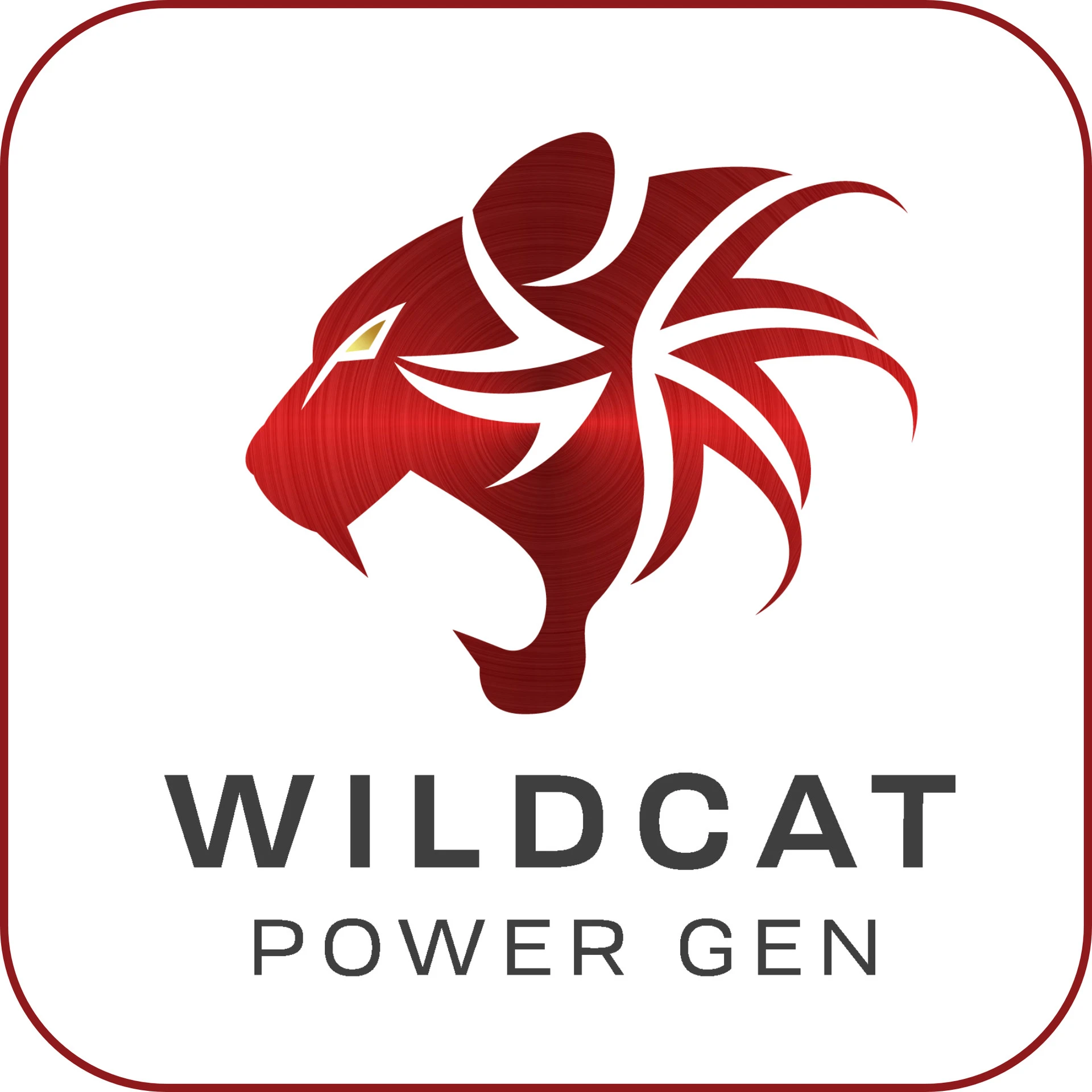 Wildcat Generator
